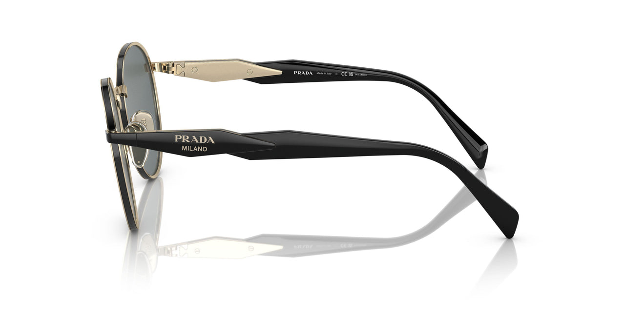 AAV5Z1 - Gold - Polar Dark Grey