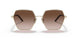ZVN6S1 - Gold - Brown Gradient
