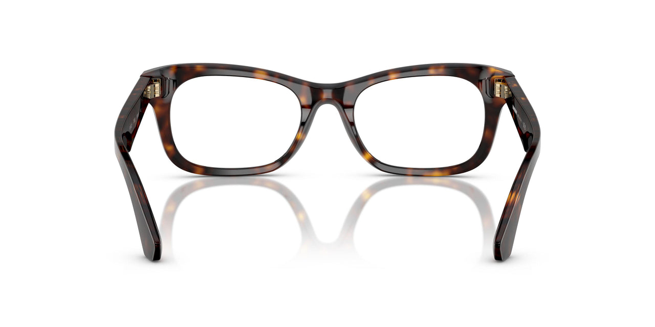 3002 - Brown