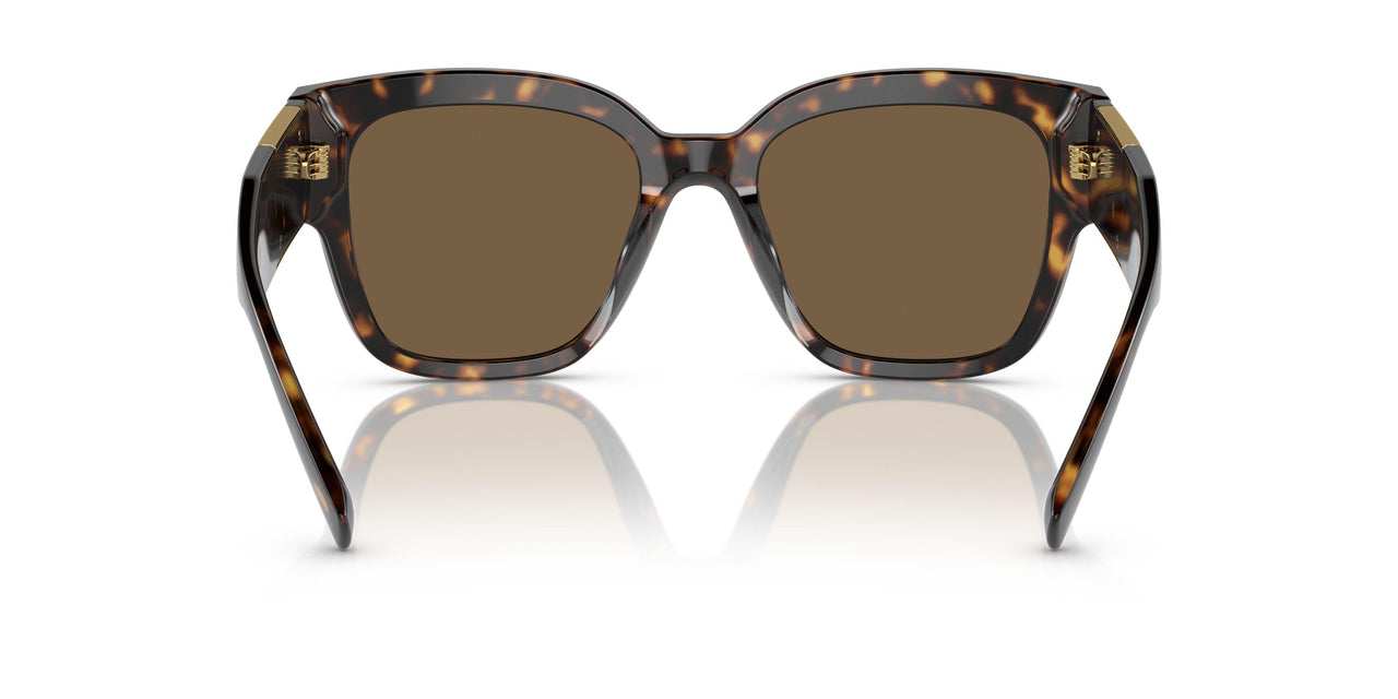 108/73 - Havana - Dark Brown
