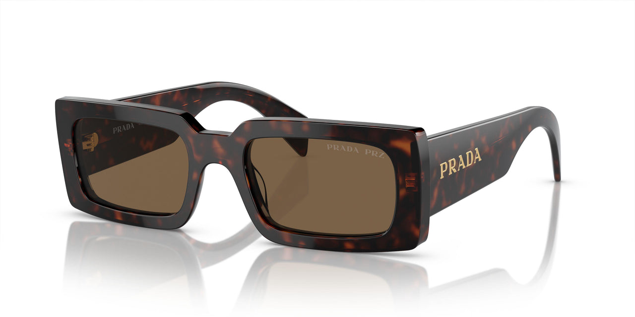 16N5Y1 - Brown - Dark Brown Polar