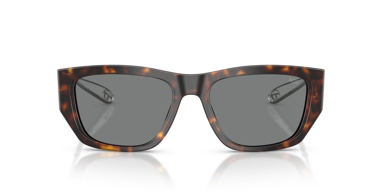 200387 - Tortoise - Dark Grey