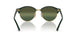 1157 - Spotted Black Havana - Green