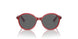 306687 - Transparent Dark Red - Dark grey