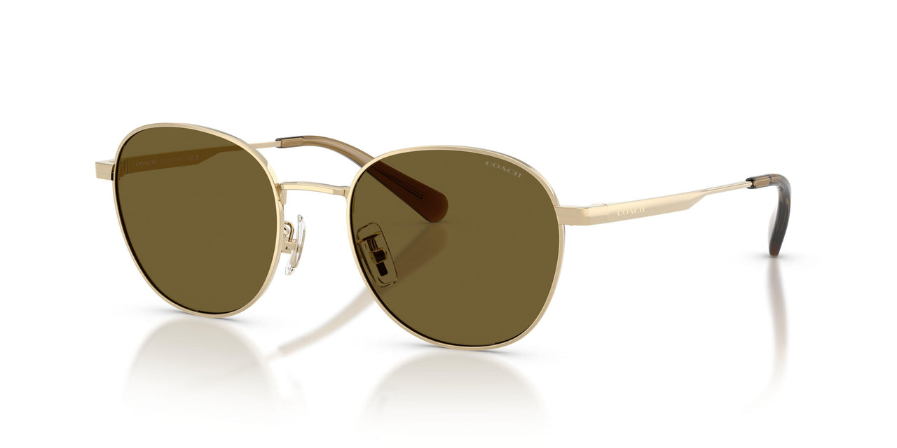 Coach Cdp36 7191 Sunglasses