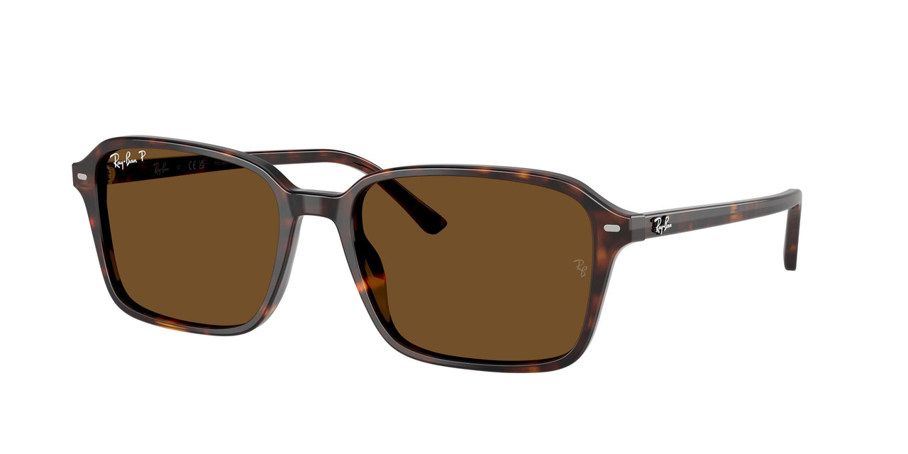 Ray-Ban Raimond 2231 Sunglasses
