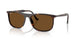 902/57 - Tortoise - Brown Polar