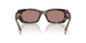23A60B - Tortoise - Light Brown