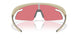 952706 - Brown - Prizm Trail Torch