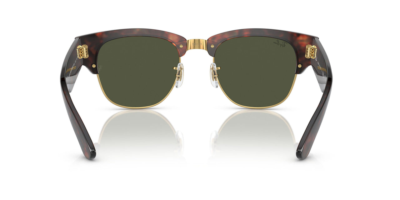 990/31 - Tortoise - Green