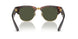 990/31 - Tortoise - Green