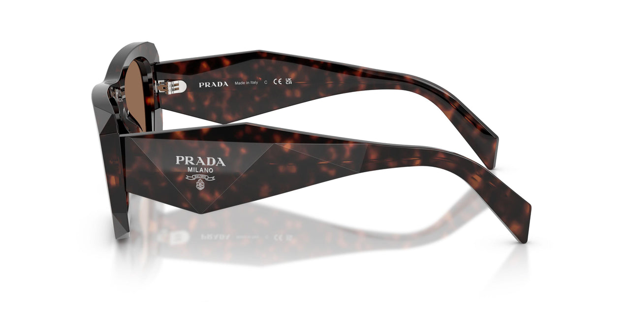 17N06B - Tortoise - Dark Brown