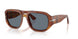 96/56 - Brown - Light Blue
