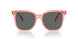 199087 - Orange - Dark Grey