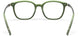 5540 - Deep Green
