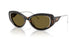 711/73 - Tortoise - Brown