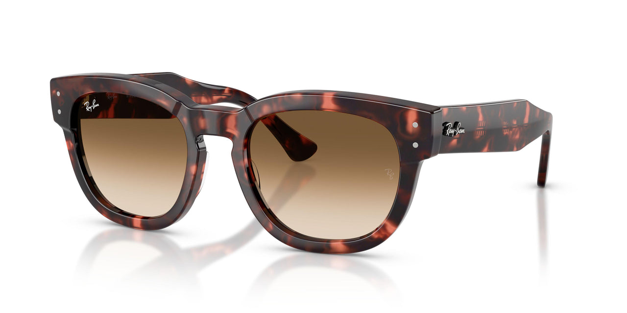 133451 - Tortoise - Clear Gradient Brown
