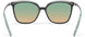 9165 - Mint Apricot Dusk - special glazing - Tinted - mint apricot 35%