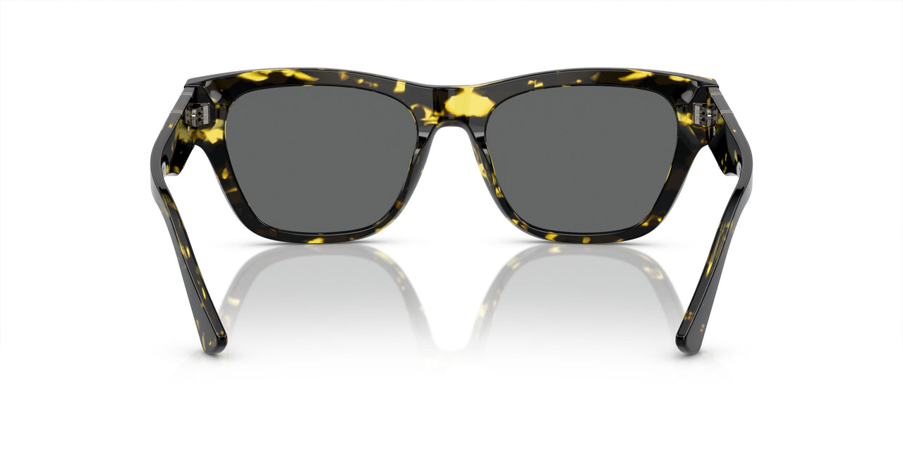 542887 - Tortoise - Dark Grey