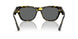 542887 - Tortoise - Dark Grey