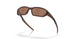 953006 - Brown - Prizm Tungsten Polarized