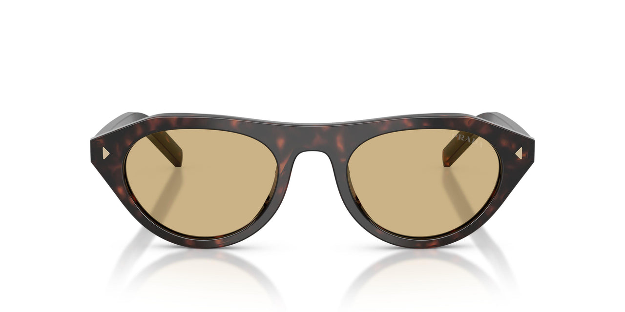 17N70R - Tortoise - Light Brown