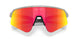 946540 - Silver - Prizm Ruby