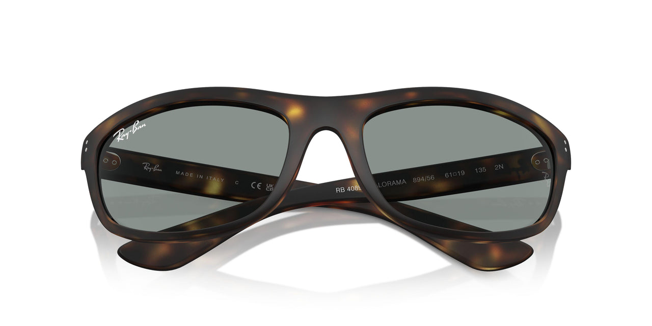 894/56 - Tortoise - Blue