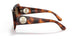 3316T5 - Havana - Polar Brown Gradient