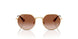 223/13 - Gold - Gradient Brown