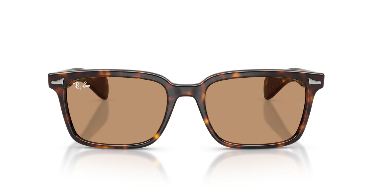 902/53 - Tortoise - Brown
