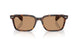 902/53 - Tortoise - Brown