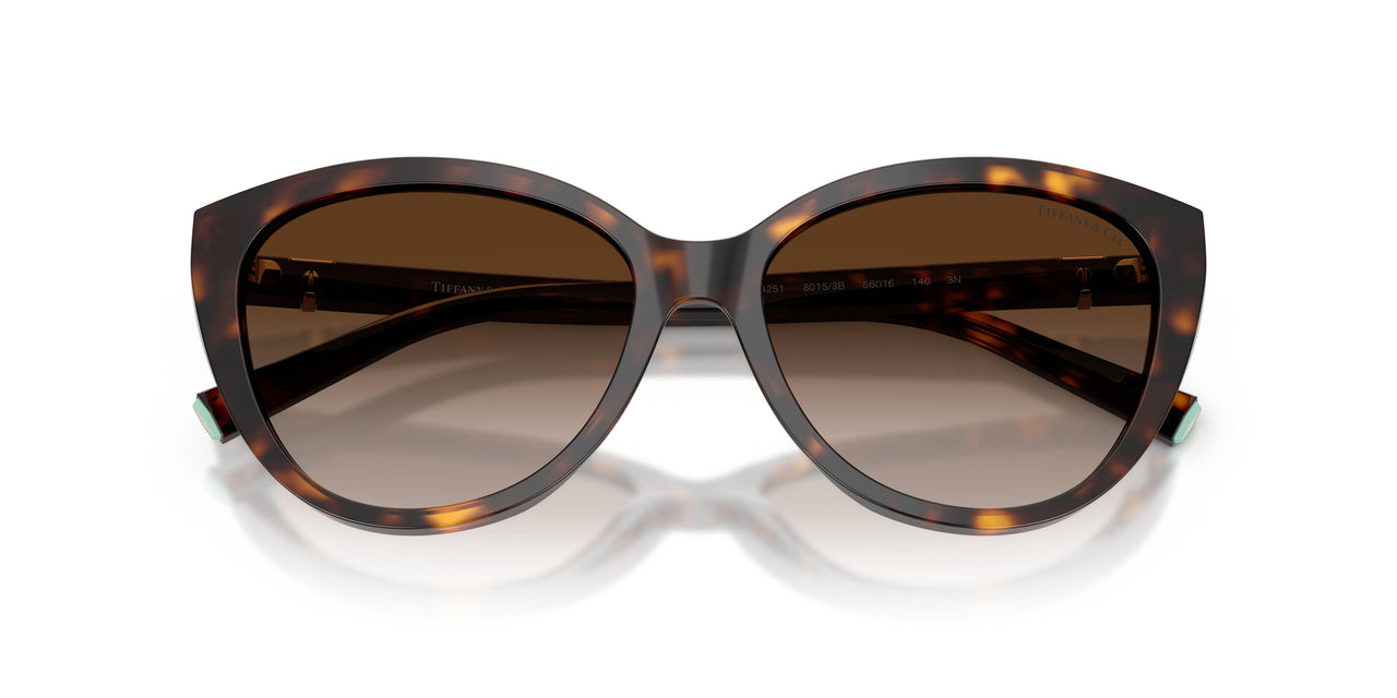 80153B - Tortoise - Brown Gradient