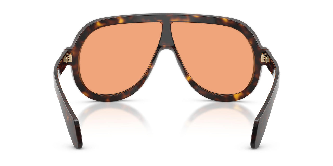 300274 - Tortoise - Solid Orange