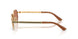 100273 - Gold - Brown