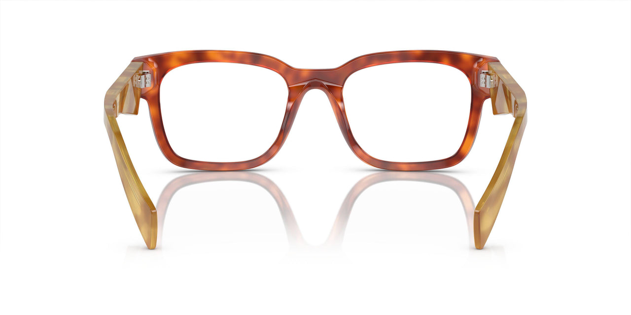 11P1O1 - Brown