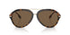 300273 - Havana - Dark Brown