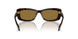 100273 - Brown - Bronze