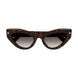 002 - Havana - Brown