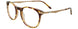 Takumi TK1261 Eyeglasses