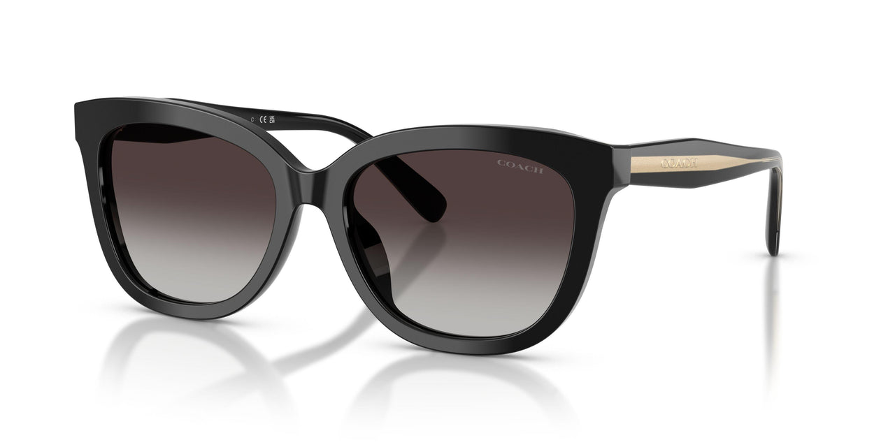 Coach Cdp53 8453U Sunglasses