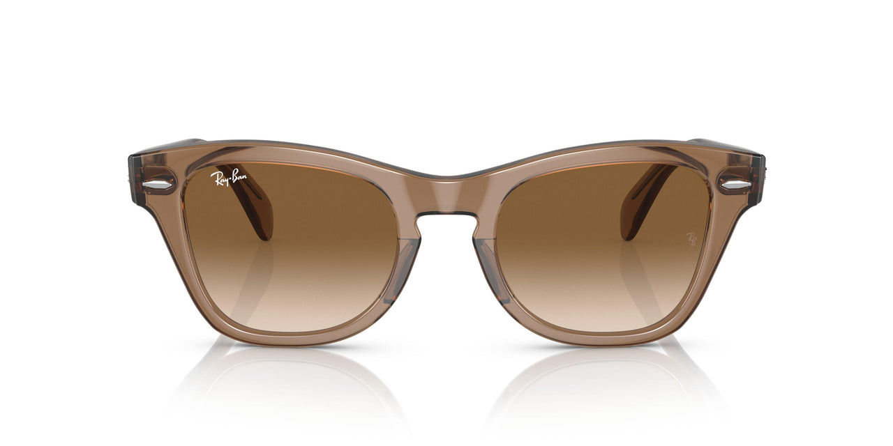 664051 - Light Brown - Clear Gradient Brown