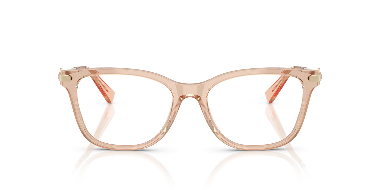 5561 - Brown