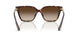 300613 - Tortoise - Smoke Gradient
