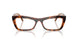 W656 - Brown