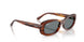 954/62 - Brown - Blue