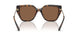 30063G - Tortoise - Dark Brown Solid