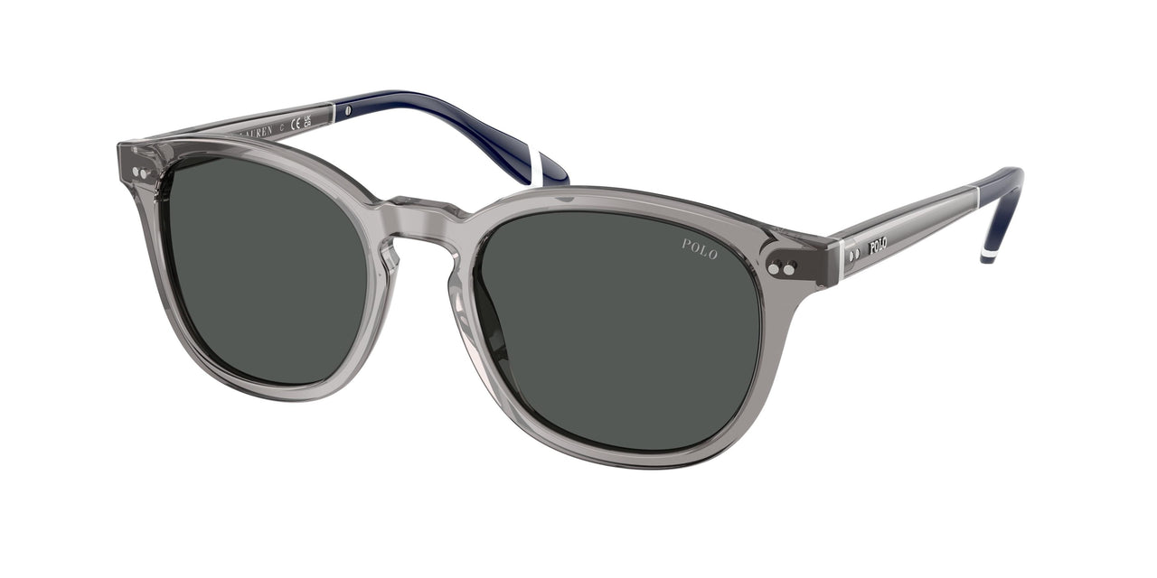 Polo 4206 Sunglasses