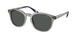 Polo 4206 Sunglasses