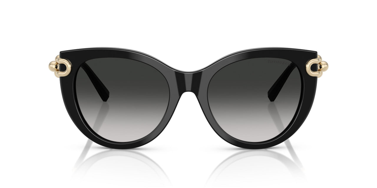 80013C - Black - Gray Gradient